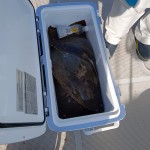 IMG_20260117_115156 IMG_20260117_115156