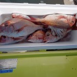 IMG_20260219_120254 IMG_20260219_120254