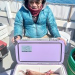 IMG_20260219_120342 IMG_20260219_120342