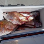 IMG_20260219_120454 IMG_20260219_120454