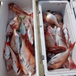 IMG_20260220_121553 IMG_20260220_121553